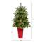 3.5ft. Pre-Lit Snowed Grand Teton Fir Christmas Tree in Red Planter